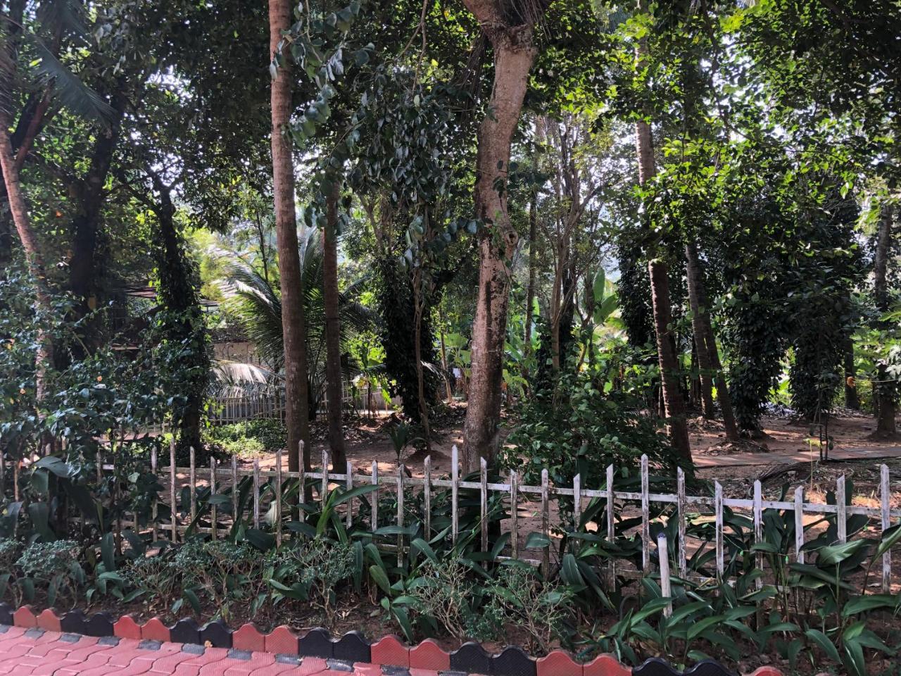 Ayuryogashram Heritage Thrissur Esterno foto